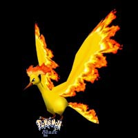 moltres.jpg (29953 bytes)