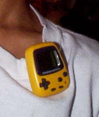 pikacllr.jpg (14724 bytes)